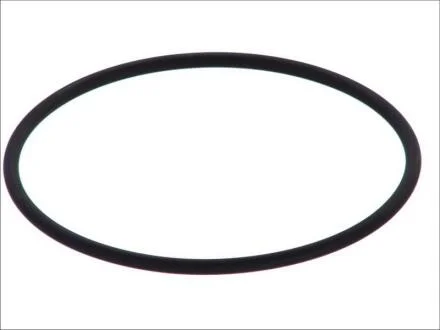 Прокладки під гільзу / ПОД ГИЛЬЗУ (1 ШТ) R.V.I. (134.7X5.6) DT 6.21491