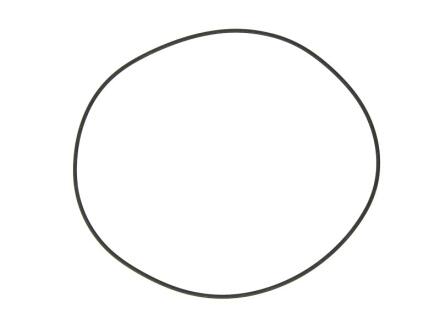 Кільце ущільнювача DT 6.54070