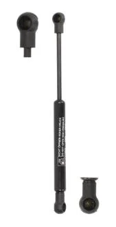 Газовий амортизатор DT 6.74002