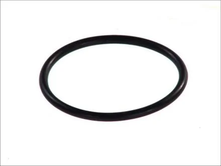 Ущільнювальне кільце DT 6.89203