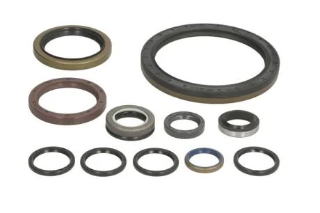 КОМПЛЕКТ САЛЬНИКІВ / КОМПЛЕКТ УПЛОТНИТЕЛЬНЫХ КОЛЕЦ RVI DT 6.93500