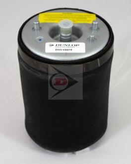 Автозапчасть Dunlop DAS10029