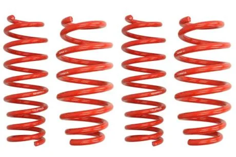 Комплект занижених пружин EIBACH E10-10-005-01-22