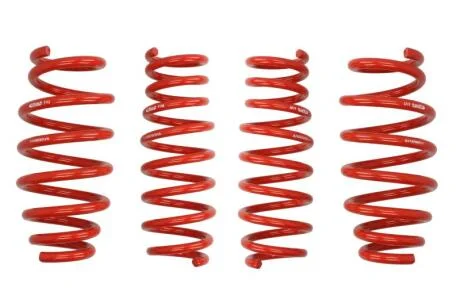Комплект занижених пружин EIBACH E10-10-005-03-22