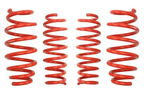 Комплект занижених пружин EIBACH E10-10-006-03-22