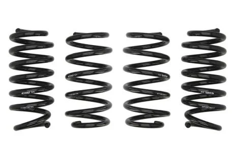 Комплект ходової частини, ресори EIBACH E10-10-013-02-22