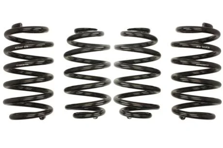 Комплект занижених пружин EIBACH E10-15-003-01-22