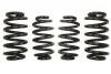 Комплект занижених пружин EIBACH E10-15-003-03-22 (фото 1)