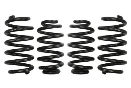 Комплект занижених пружин EIBACH E10-15-003-04-22