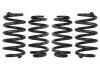 Комплект занижених пружин EIBACH E10-15-003-14-22 (фото 1)