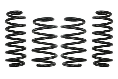 Комплект занижених пружин EIBACH E10-15-007-01-22