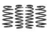 Комплект занижених пружин EIBACH E10-15-007-02-22 (фото 1)