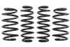 Комплект занижених пружин E10-15-007-03-22