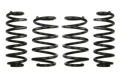 Комплект занижених пружин EIBACH E10-15-007-09-22