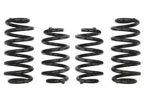 Комплект занижених пружин EIBACH E10-15-008-01-22