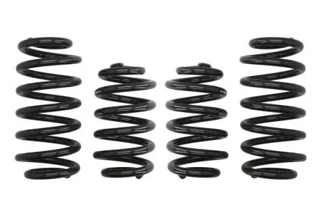 Комплект занижених пружин EIBACH E10-15-008-05-22