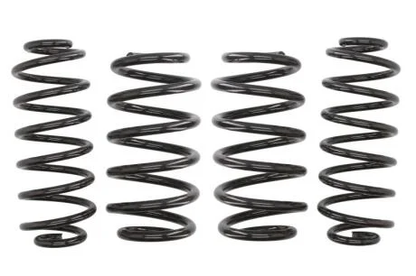 Комплект занижених пружин EIBACH E10-15-010-02-22