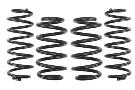 Комплект занижених пружин EIBACH E10-15-010-08-22