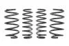 Комплект занижених пружин EIBACH E10-15-014-03-22 (фото 1)