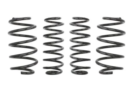 Комплект занижених пружин EIBACH E10-15-014-03-22