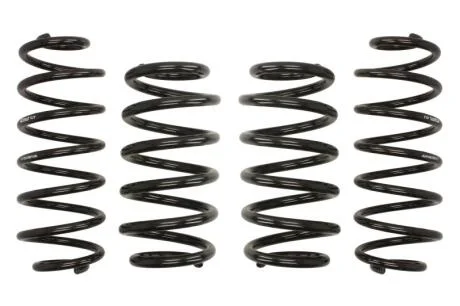 Комплект занижених пружин EIBACH E10-15-018-01-22