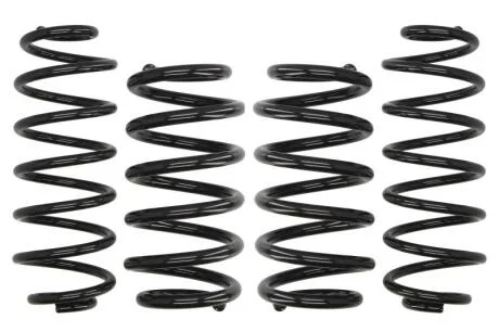 Комплект занижених пружин EIBACH E10-15-018-02-22