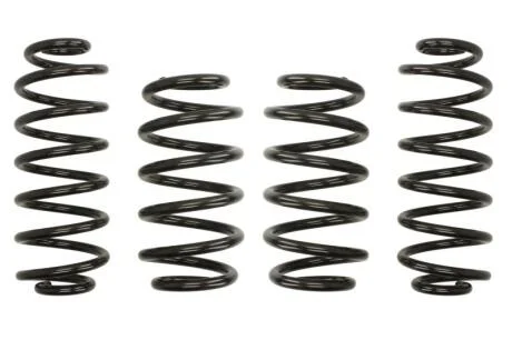 Комплект занижених пружин EIBACH E10-15-018-09-22