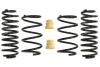 Комплект занижених пружин EIBACH E10-15-021-04-22 (фото 1)