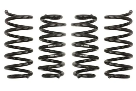 Комплект занижених пружин EIBACH E10-15-023-01-22