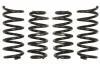 Комплект занижених пружин EIBACH E10-15-023-02-22 (фото 1)