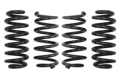 Комплект занижених пружин EIBACH E10-15-025-01-22
