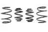 Комплект занижених пружин E10-20-001-01-22