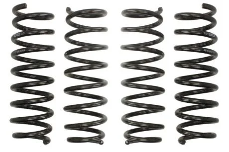 Комплект занижених пружин EIBACH E10-20-001-02-22