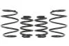 Комплект занижених пружин E10-20-001-09-22