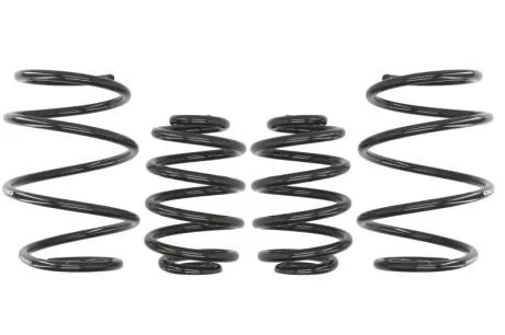 Комплект занижених пружин EIBACH E10-20-001-09-22 (фото 1)