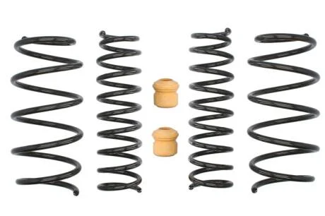 Комплект занижених пружин EIBACH E10-20-006-01-22