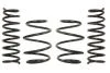 Комплект занижених пружин E10-20-011-01-22