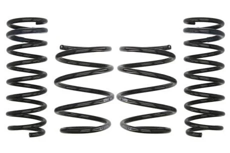 Комплект занижених пружин EIBACH E10-20-012-01-22