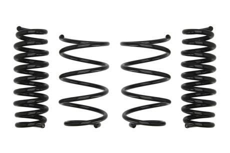 Комплект занижених пружин EIBACH E10-20-016-02-22