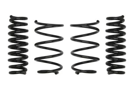 Комплект занижених пружин EIBACH E10-20-016-02-22