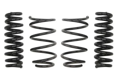 Комплект занижених пружин EIBACH E10-20-020-01-22