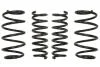 Комплект занижених пружин EIBACH E10-20-024-02-22 (фото 1)
