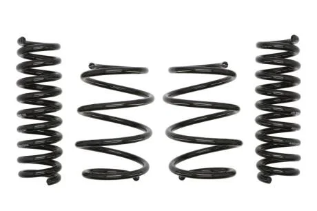 Комплект занижених пружин EIBACH E10-20-031-03-22