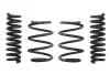 Комплект занижених пружин EIBACH E10-20-031-18-22 (фото 1)