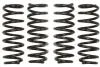 Комплект занижених пружин EIBACH E10-20-038-02-22 (фото 1)