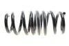 Комплект пружин підвіски EIBACH E10-20-040-03-22 (фото 9)