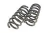 Комплект занижених пружин EIBACH E10-20-044-02-22 (фото 4)