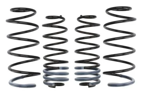Комплект занижених пружин EIBACH E10-22-003-01-22