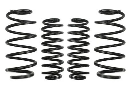 Комплект занижених пружин EIBACH E10-22-011-02-22