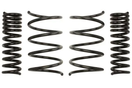 Комплект занижених пружин EIBACH E10-25-001-01-22